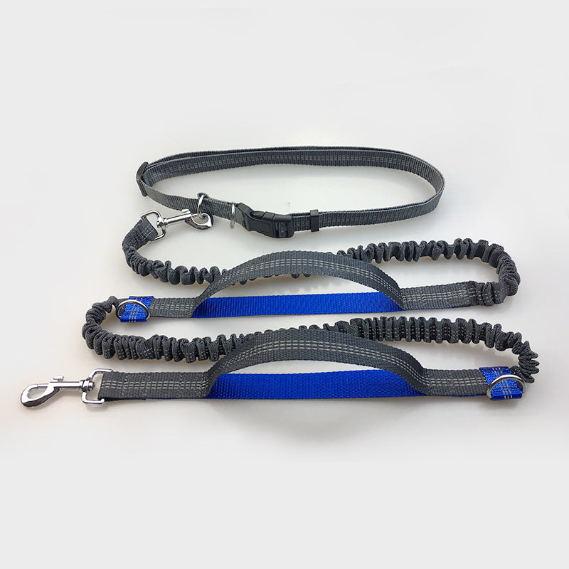 Reflective Running Dog Leash (Double Bungee, Hands-Free)