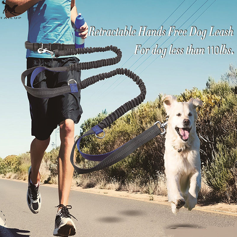 Reflective Running Dog Leash (Double Bungee, Hands-Free)